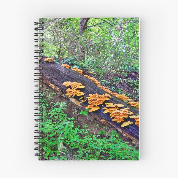 Item preview, Fungi designed and sold by Savannah Gibbs.