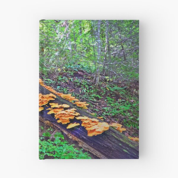 Item preview, Fungi designed and sold by Savannah Gibbs.
