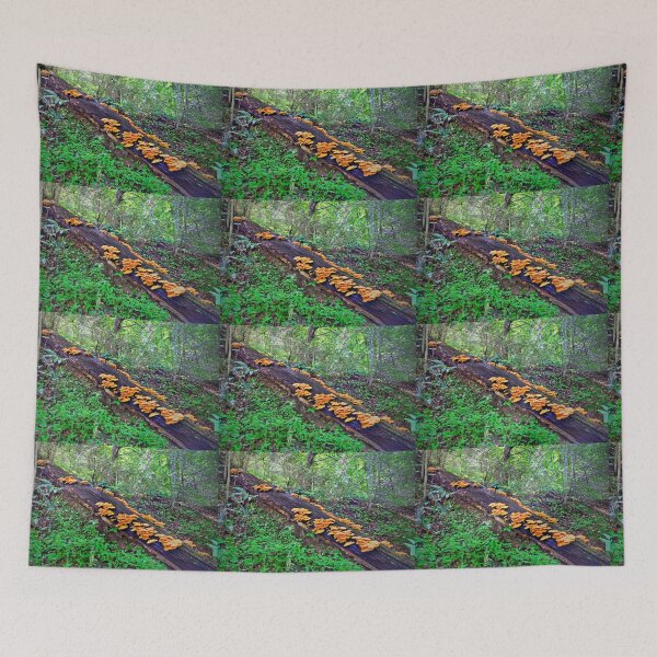 Item preview, Fungi designed and sold by Savannah Gibbs.