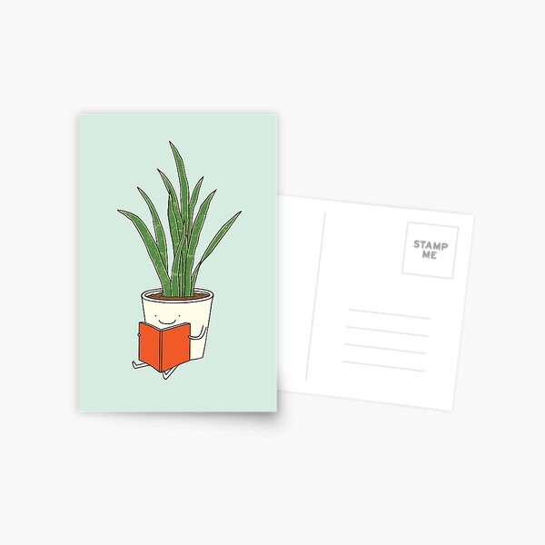 Indoor plant Postcard
