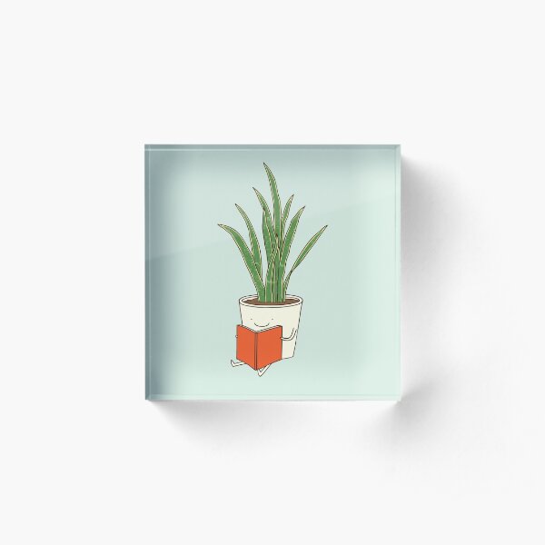 Indoor plant Acrylic Block