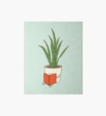 Indoor plant Art Board Print