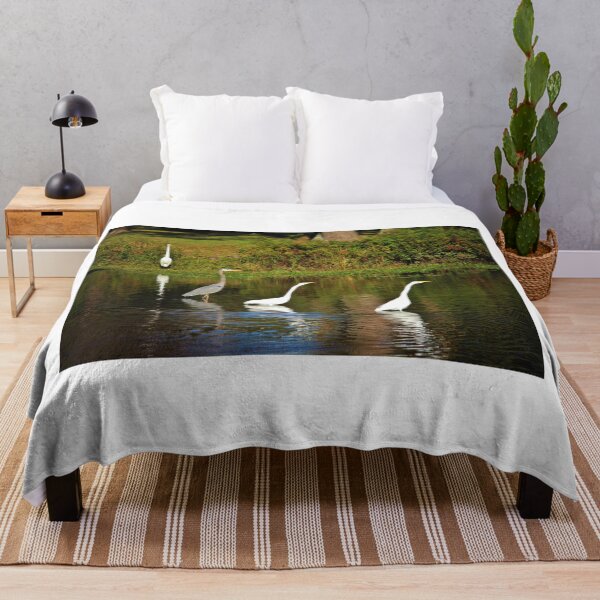 Item preview, Heron Among The Egrets designed and sold by Cynthia48.