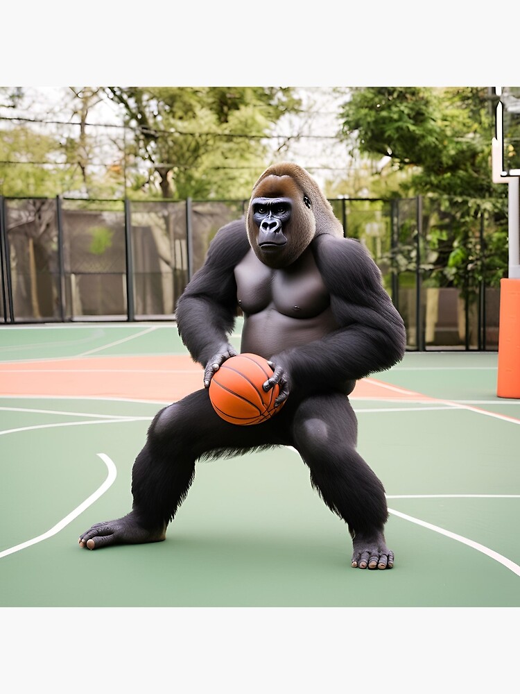 Gorilla basket ball sales