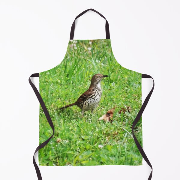 Item preview, Alert Brown Thasher designed and sold by gistinker.
