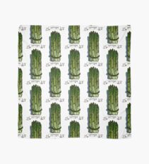 watercolor hand drawn vintage illustration of asparagus Scarf