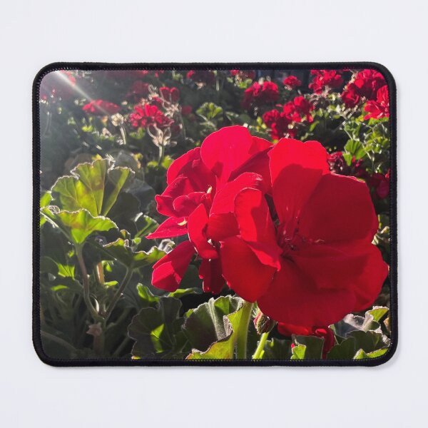 Item preview, Red Geranium designed and sold by Betsy Phillips.