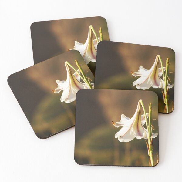 Item preview, White flower  designed and sold by Life&Travel.
