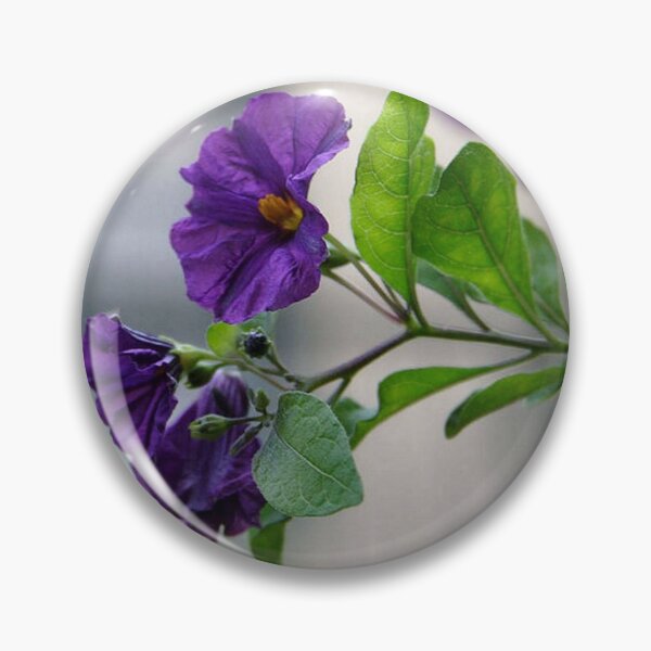 Item preview, Solanum Rantonnetii With Garden Background designed and sold by taiche.