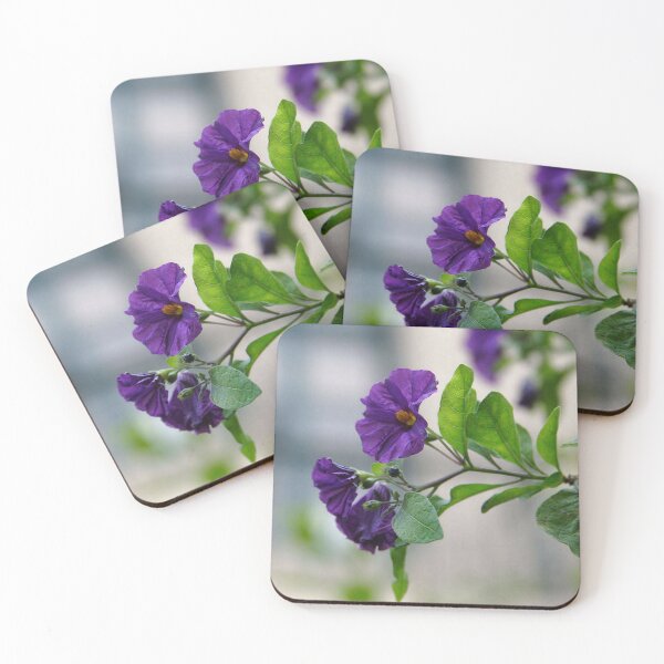 Item preview, Solanum Rantonnetii With Garden Background designed and sold by taiche.