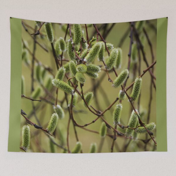 Item preview, Willow in May designed and sold by Bluesrose.