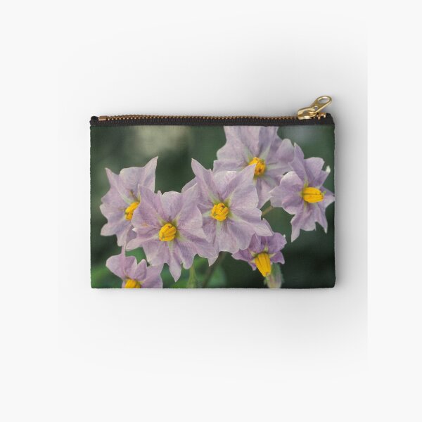 Item preview, Potato Flowers Solanum Rantonnetii Royal Robe designed and sold by taiche.