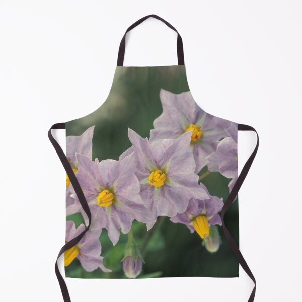 Item preview, Potato Flowers Solanum Rantonnetii Royal Robe designed and sold by taiche.