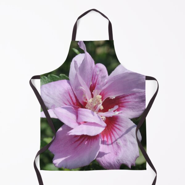 Item preview, Double Headed Marsh Mallow Althaea Officinalis designed and sold by taiche.