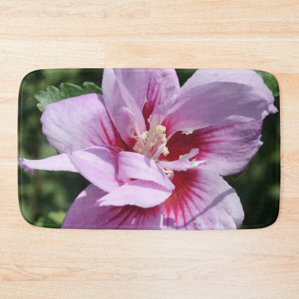 Item preview, Double Headed Marsh Mallow Althaea Officinalis designed and sold by taiche.