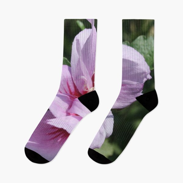 Item preview, Double Headed Marsh Mallow Althaea Officinalis designed and sold by taiche.
