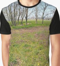 Happiness, Building, Skyscraper, New York, Manhattan, Street, Pedestrians, Cars, Towers, morning, trees, subway, station, Spring, flowers, Brooklyn Graphic T-Shirt