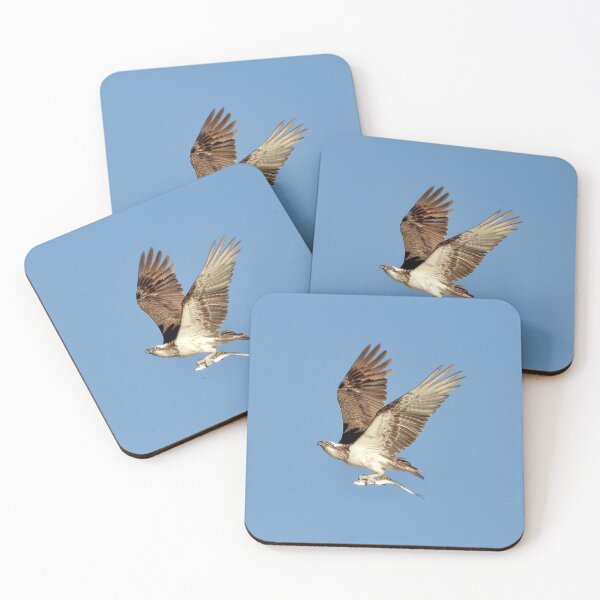 Item preview,  Ospreys returns with catch designed and sold by Mark Grimsley.
