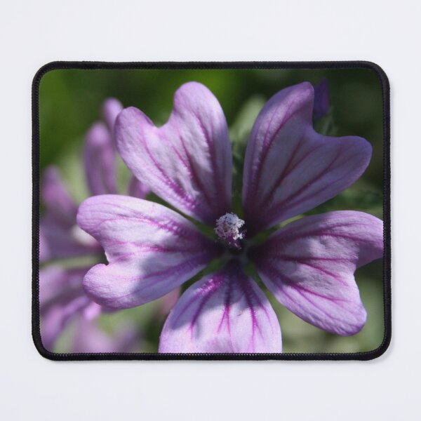 Item preview, Mauve Mallow designed and sold by taiche.