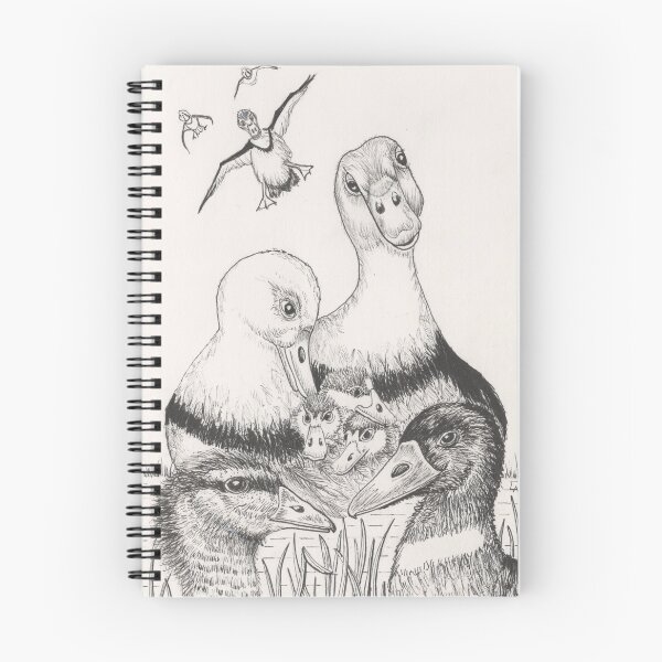 Item preview, A family of native Australian ducks. designed and sold by Nature in Tasmania.