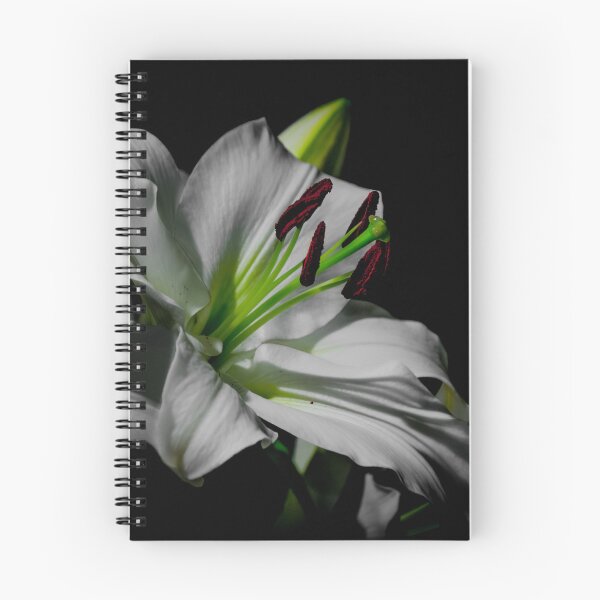 Item preview, Lily photo designed and sold by Baxter-adams.
