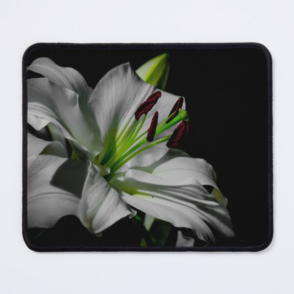 Item preview, Lily photo designed and sold by Baxter-adams.
