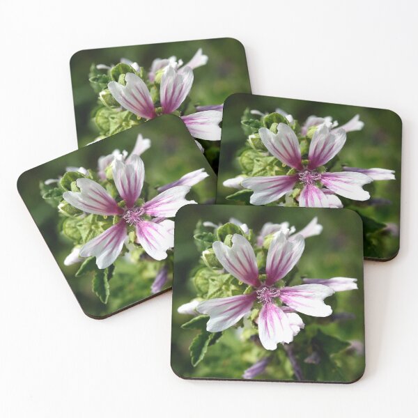 Item preview, Zebra Mallow Flower designed and sold by taiche.