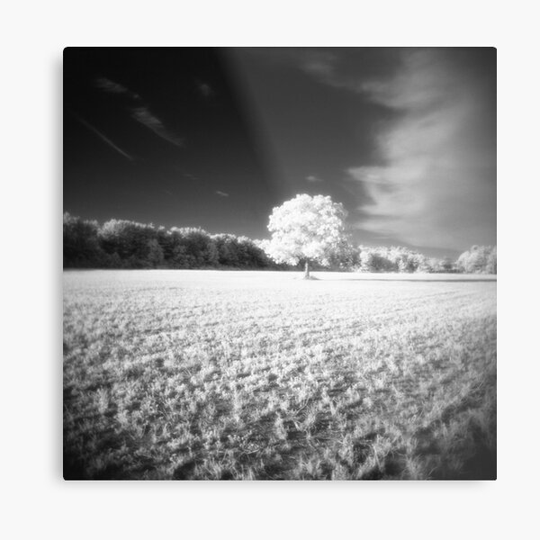 Holga Infrared Tree #7 Metal Print