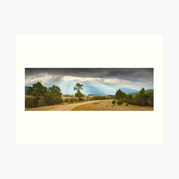 Art Print
