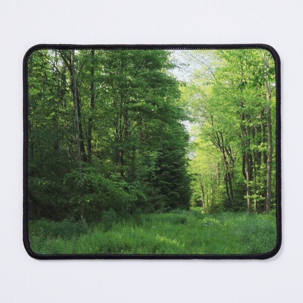 Item preview, Boutwell Hill designed and sold by A. E. Yates.