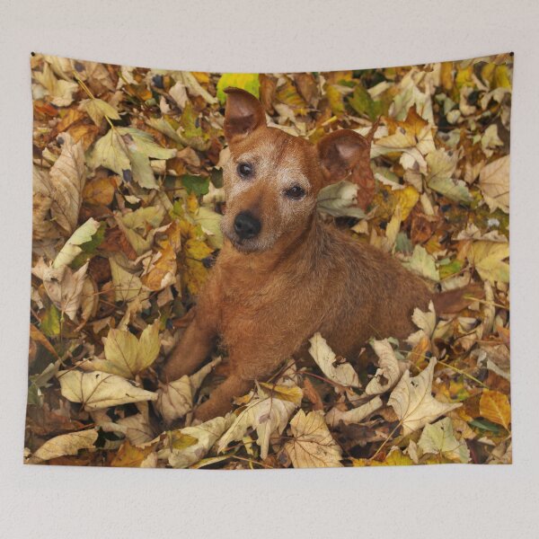 Item preview, Rustling in the leaves designed and sold by Fay Freshwater.