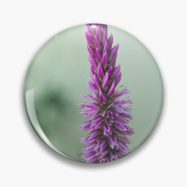 Item preview, Celosia Argentea designed and sold by ROSE ANN BANILAR.