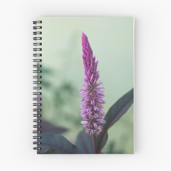 Item preview, Celosia Argentea designed and sold by ROSE ANN BANILAR.