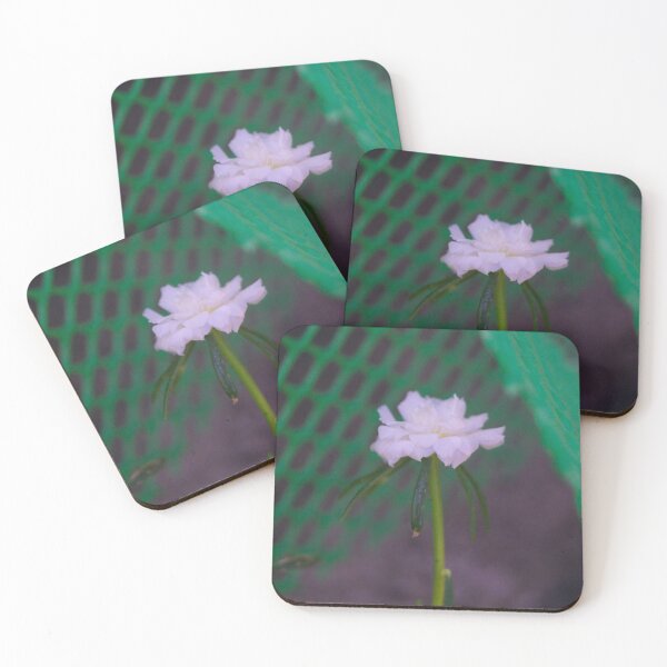 Item preview, Moss-rose purslane designed and sold by ROSE ANN BANILAR.