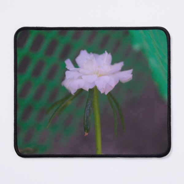 Item preview, Moss-rose purslane designed and sold by ROSE ANN BANILAR.