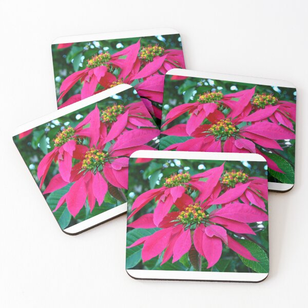 Item preview, Poinsettia at the Zoo designed and sold by Michael Matthews.