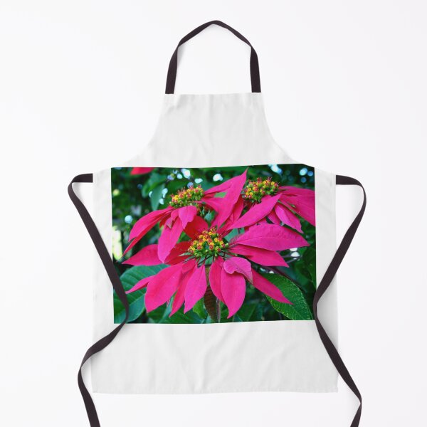 Item preview, Poinsettia at the Zoo designed and sold by Michael Matthews.