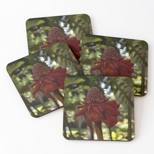 Item preview, Glossy Jewel in the Jungle - Red Torch Ginger Lily designed and sold by Georgia Mizuleva.