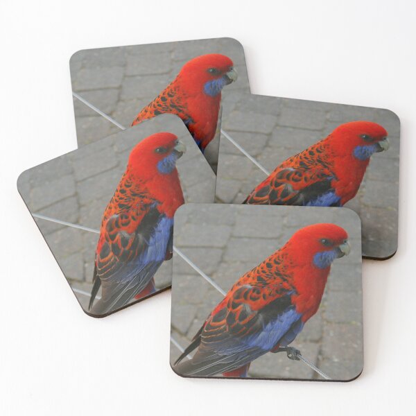 Item preview, Crimson Rosella portrait designed and sold by Michael Matthews.