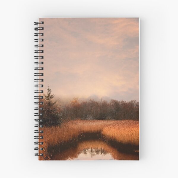 Item preview, Winter Bog Sunset designed and sold by James DeFazio.