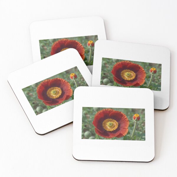 Item preview, Imagen de una hermosa amapola designed and sold by Bellas-Artes-99.