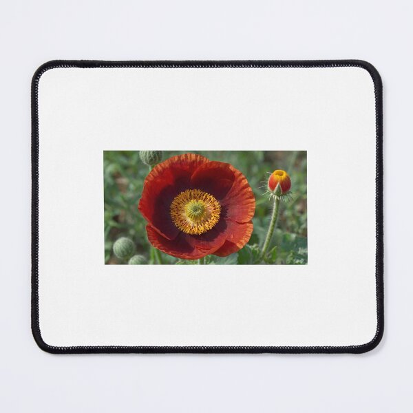 Item preview, Imagen de una hermosa amapola designed and sold by Bellas-Artes-99.