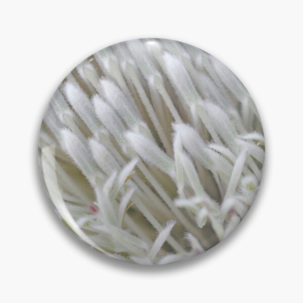 Item preview, Gathered Crowd in White - Botanical Photography - Original Abstract Fine Art designed and sold by SageFolio.