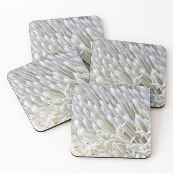 Item preview, Gathered Crowd in White - Botanical Photography - Original Abstract Fine Art designed and sold by SageFolio.
