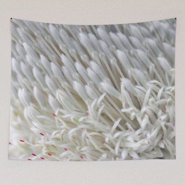 Item preview, Gathered Crowd in White - Botanical Photography - Original Abstract Fine Art designed and sold by SageFolio.