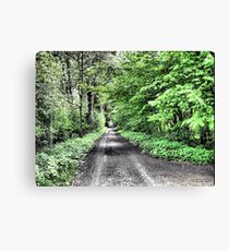 Green street in Meise-Wolvertem. Canvas Print