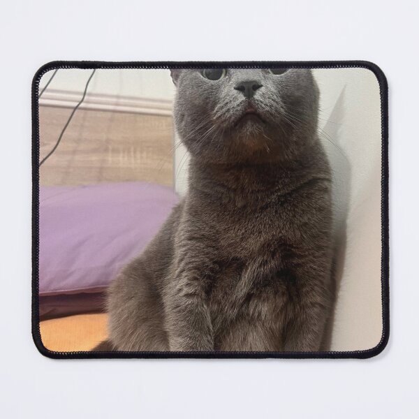 Item preview, Lovely cat designed and sold by Catsmoment.