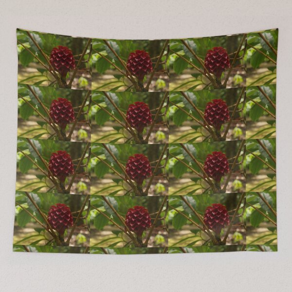 Item preview, Glorious Red Wax Ginger - a Gift from Hawaii designed and sold by Georgia Mizuleva.
