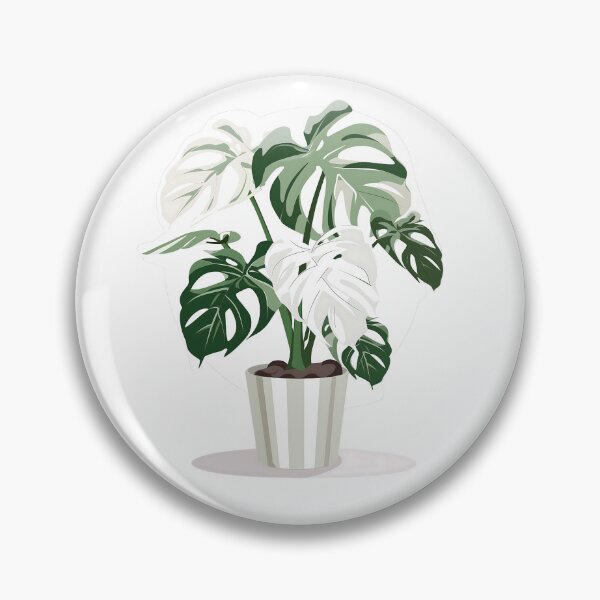 Artikelvorschau, Zeichenstil für Monstera Albo Variegata entworfen und verkauft von Maciej Strzelczyk.