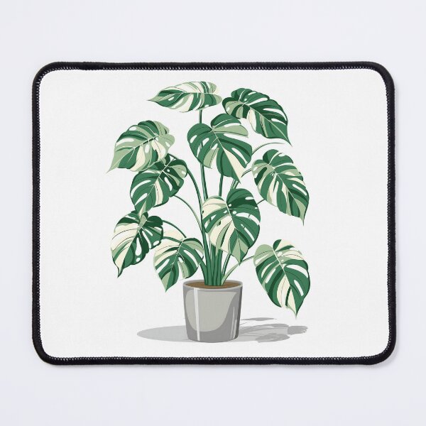 Item preview, Monstera Albo Variegata in Pot Design designed and sold by Maciej  Strzelczyk.